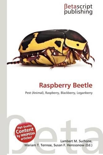 Raspberry Beetle