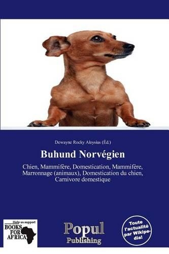 Buhund Norv Gien