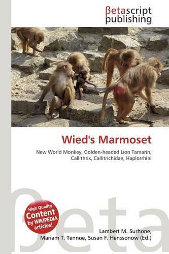 Wied's Marmoset: (English)