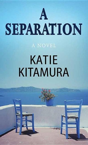 A Separation: A Novel