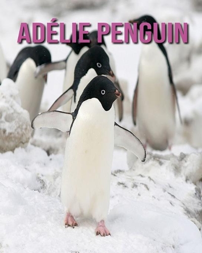 Adélie Penguin: Adélie Penguin: Children's Books --- Amazing Pictures and Facts About Adélie Penguin
