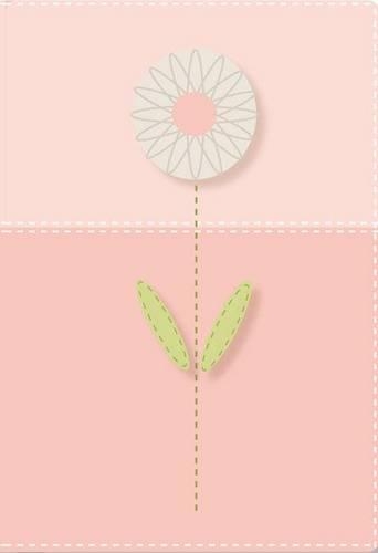 NVI Biblia Vida Juvenil, Dos Tonos Italiano