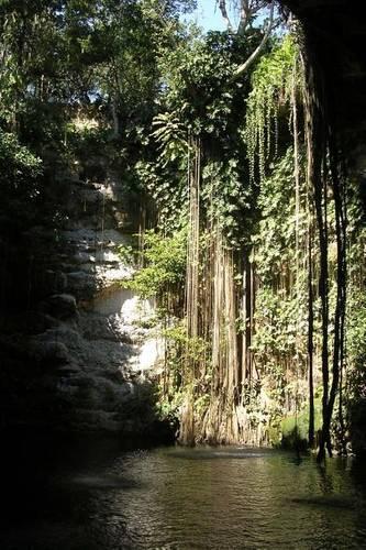 Cenote Sinkhole in Yucatan Peninsula in Mexico Journal