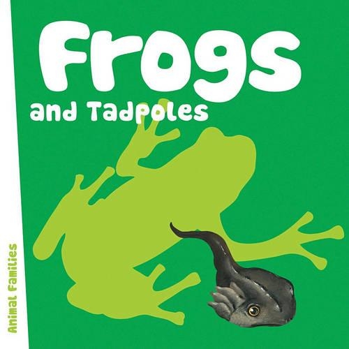 Frogs and Tadpoles