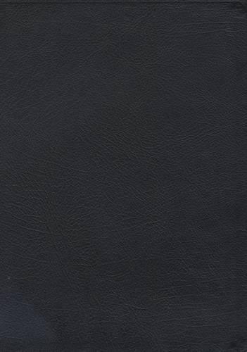 Macarthur Study Bible