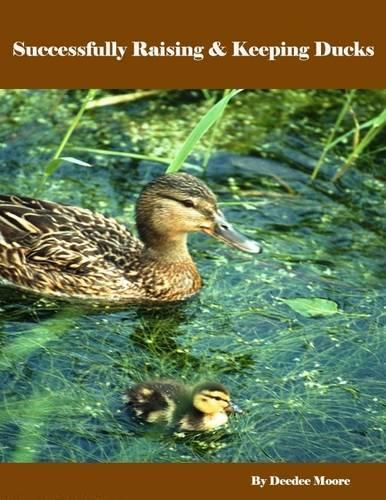 Successfully Raising & Keeping Ducks