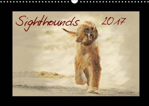Sighthounds 2017