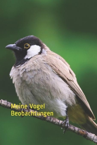 Meine Vogel Beobachtungen