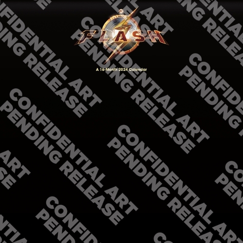 24wall the Flash (Secure)