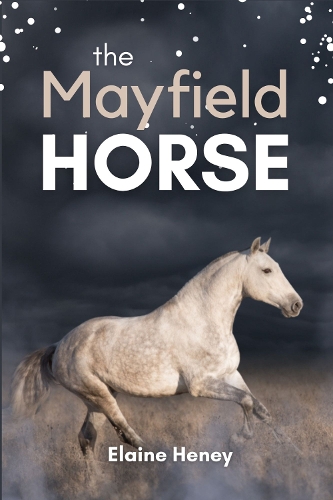 The Mayfield Horse: Book 3 in the Connemara Horse Adventure Series for Kids. The perfect gift for children age 8-12(3 Connemara Horse Adventures)