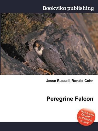 Peregrine Falcon: (English)