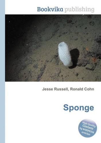 Sponge