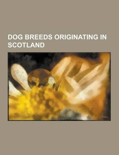 Dog Breeds Originating in Scotland