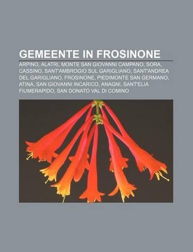 Gemeente in Frosinone: Arpino, Alatri, Monte San Giovanni Campano, Sora, Cassino, Sant'ambrogio Sul Garigliano, Sant'andrea del Garigliano(Dutch)