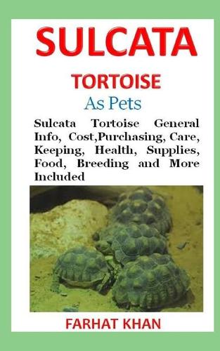 Sulcata Tortoise as Pets