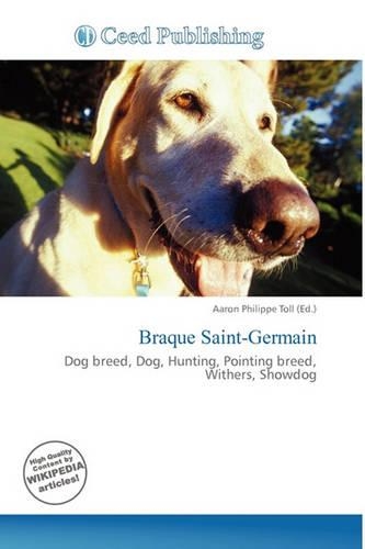 Braque Saint-Germain