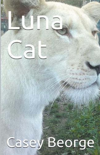 Luna Cat
