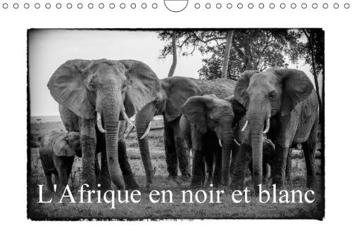 L' Afrique En Noir Et Blanc 2018: Vision Inhabituelle Du Masai Mara(Calvendo Animaux)
