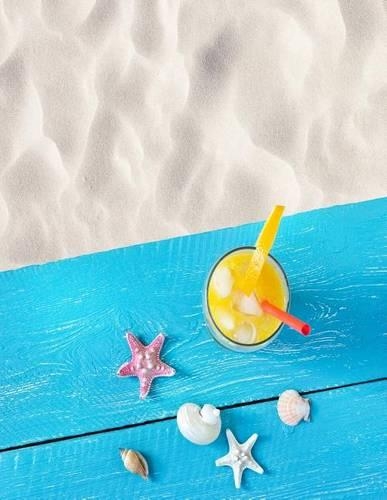 Blank Book Journal: Summer at the Beach Cover Diary Notebook: 8.5 x 11 size 120 gray lined pages!