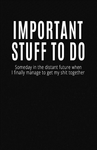 Important Stuff to Do Someday in the Distant Future