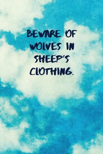Beware of Wolves in Sheep's Clothing