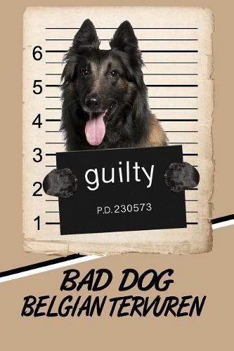Bad Dog Belgian Tervuren