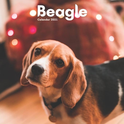 Beagle Calendar 2021: Dog Breed Calendar 12 Month, Beagles 2021 Wall Calendar