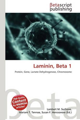 Laminin, Beta 1