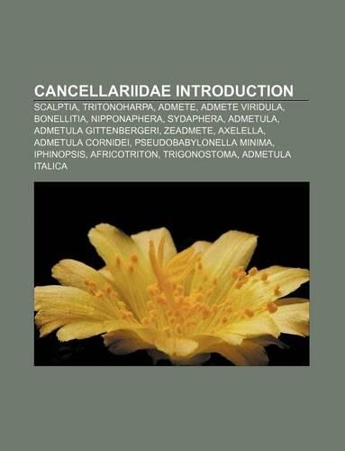 Cancellariidae Introduction