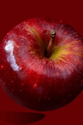 Shiny Red Apple on a Red Background Journal