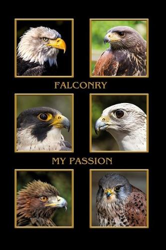 Falconry My Passion
