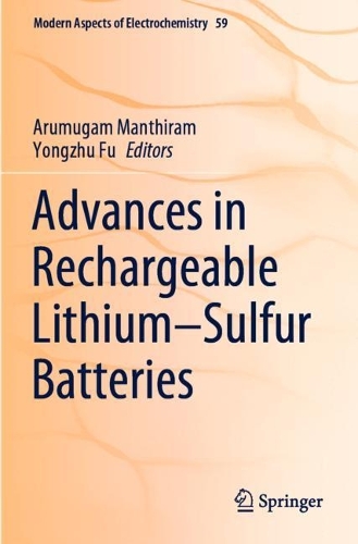 Advances in Rechargeable Lithium–Sulfur Batteries: (59 Modern Aspects of Electrochemistry)