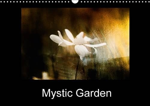 Mystic Garden 2017: Open Your Mind to Vibrant, Abstract Colours.(Calvendo Art)