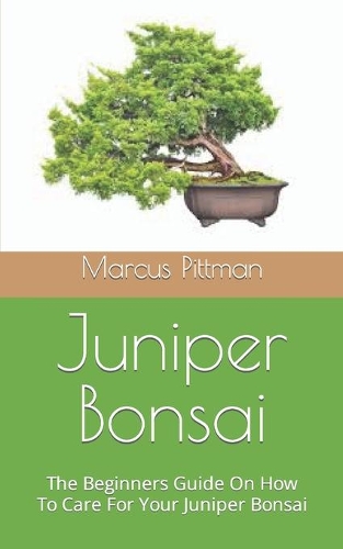 Juniper Bonsai: The Beginners Guide On How To Care For Your Juniper Bonsai