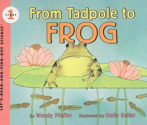 From Tadpole to Frog
