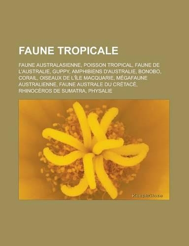 Faune Tropicale