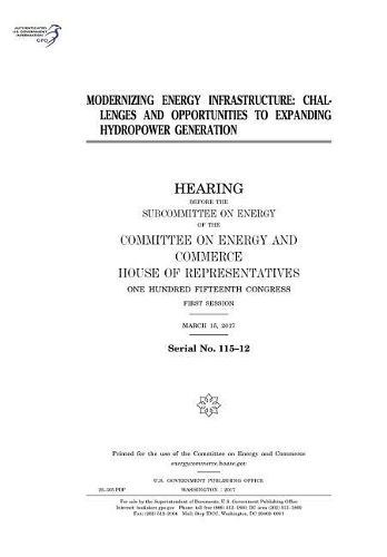 Modernizing Energy Infrastructure