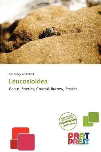 Leucosioidea