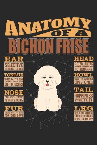 Anatomy Of A Bichon Frise