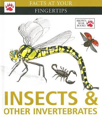 Insects & Other Invertebrates