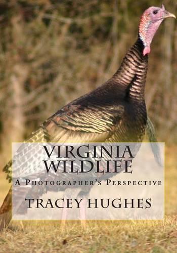 Virginia Wildlife: A Photographer's Perspective(English)