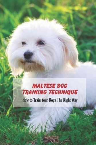 Maltese Dog Training Technique: How to Train Your Dogs The Right Way: Maltese Dog Training