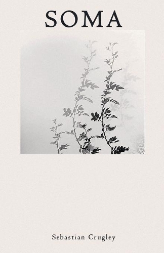 Soma: (Soma & Neuma)