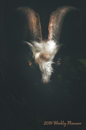 2019 Weekly Planner: Black RAM Calendar with Goal-Setting Section, 6x9