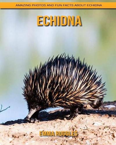 Echidna