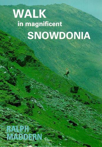 Walk in Magnificent Snowdonia