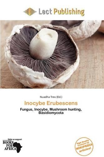 Inocybe Erubescens: (English)