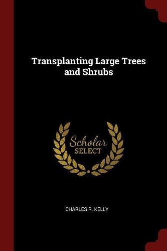 Transplanting Large Trees and Shrubs