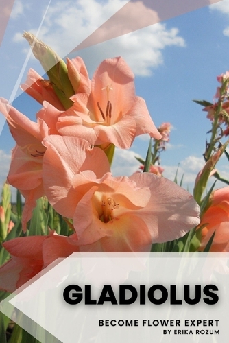 Gladiolus: Become flower expert