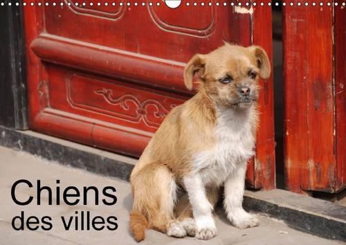Chiens Des Villes 2017: La Vie Canine En Ville(Calvendo Animaux)